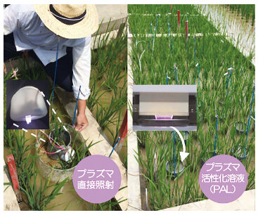 東郷フィールドでの実証実験 (写真提供:名古屋大学)