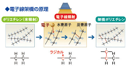 原子選架橋の原理図