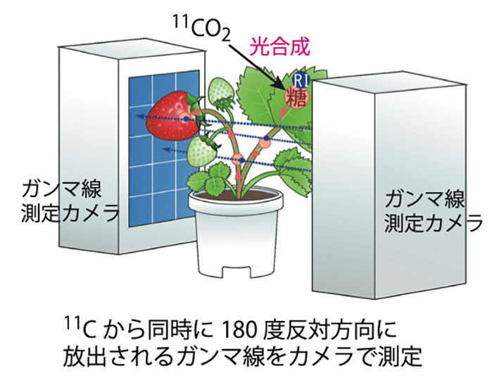ガンマ線をカメラで測定