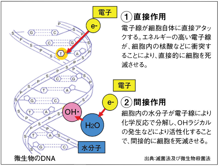 ◆EB（電子線）による滅菌メカニズム