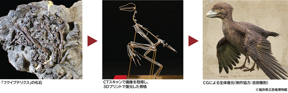 フクイプテリクス